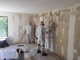 Asbestos and Lead Testing During Mold Inspection in Loveland, OH